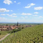 Daisy - Au Calme Des Vignes - Parking Privatif & Animaux Bienvenus *