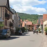 Daisy - Au Calme Des Vignes - Parking Privatif & Animaux Bienvenus * Dambach