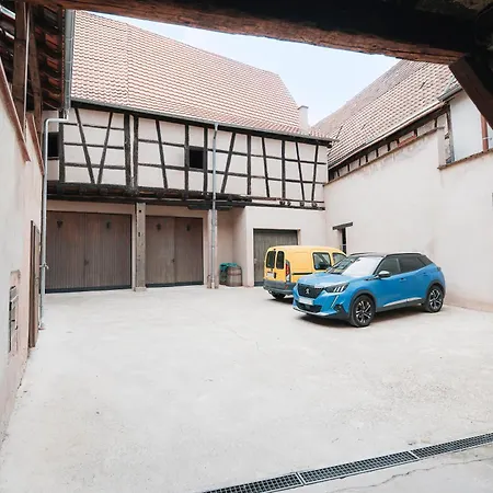 Daisy - Au Calme Des Vignes - Parking Privatif & Animaux Bienvenus Dambach