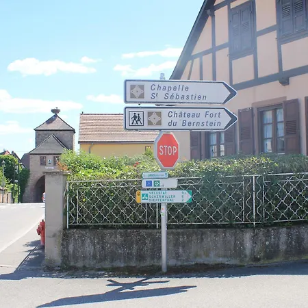 Daisy - Au Calme Des Vignes - Parking Privatif&animaux Bienvenus Appartement