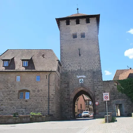 Apartment Daisy - Au Calme Des Vignes - Parking Privatif & Animaux Bienvenus Dambach-la-Ville