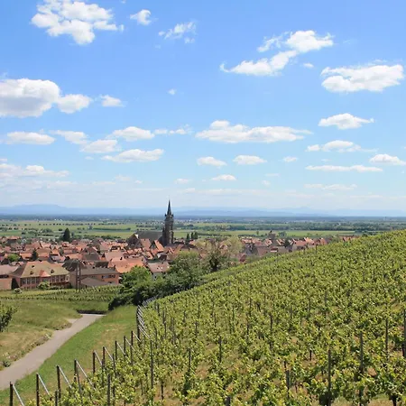 Daisy - Au Calme Des Vignes - Parking Privatif & Animaux Bienvenus *