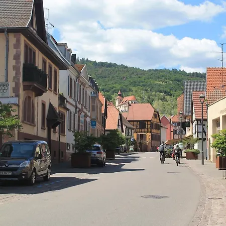 Daisy - Au Calme Des Vignes - Parking Privatif&animaux Bienvenus * Dambach